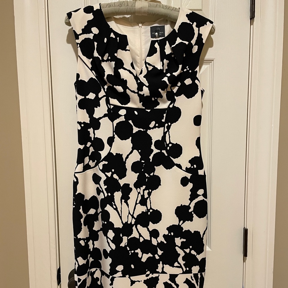 Adrianna Papell dress, 6